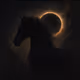 Darkhorseenerprisespnw2