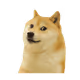64656669