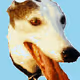dogracer_ColdStorage