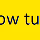 yellowturtle1