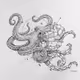 _blocktopus_