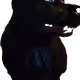 ZeusDog