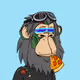 LazyTrader
