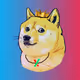 PulseDogeCoin