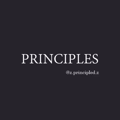 OpenSea profile picture for @Principles