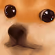 ImBuF
