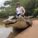 crocodilerider