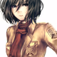 Mikasa_Ackerman