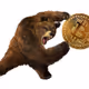 El_Oso