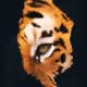 pain_and_pixels