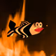 luckyfishcollection