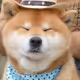 0xVeblen