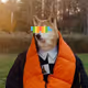 enlilcorp