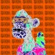 0x283c4c08df792484f0417564bf14be0629b4fbf7