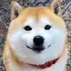 BennyGfromSF