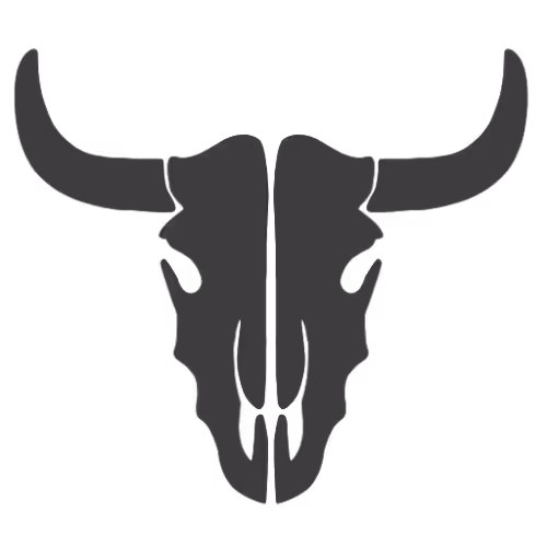 OpenSea profile picture for @tex