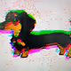 Juli_opie