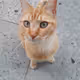 Schroedypto