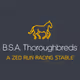 BSA-Thoroughbreds