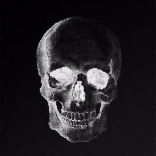 OpenSea profile picture for @altercation