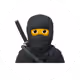 duneninja