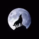 Unknown1324