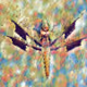 Sarayas_Might