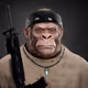MACHAO5