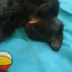 Webm659