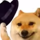 0x28ddc286f005cd215d9b67eddf251131ed353a08