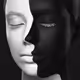 Shadow2233