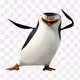 penguin_with_a_plan