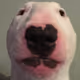 Rihardo2