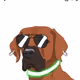J_ROCKs_Dawg_Pound