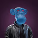 spinjr