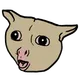 0x299478830bc0e541a0850e104ae2205170951534