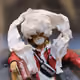 poyhappyboy