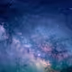LittleLion-