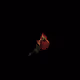 0x2a002ad4ff108aee5d8f7fa9b7b15bfd170bafca