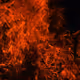 burninhellscammer