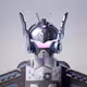 Timm0305