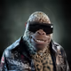 THE1ANDONLYHARAMBE
