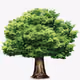 LOVETREE
