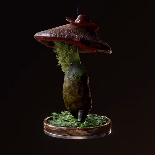 OpenSea profile picture for @Antonin