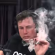 musksmoking