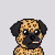 Pugg_Nation