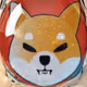 ShibaHolder