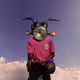 Josephobanubi
