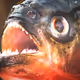 bigpirhana