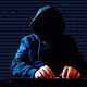 Cryptopup